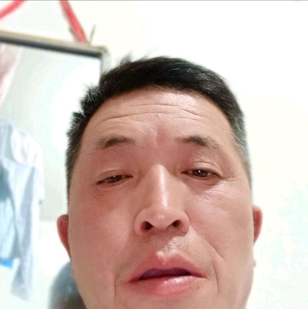失眠倾心金毛的照片