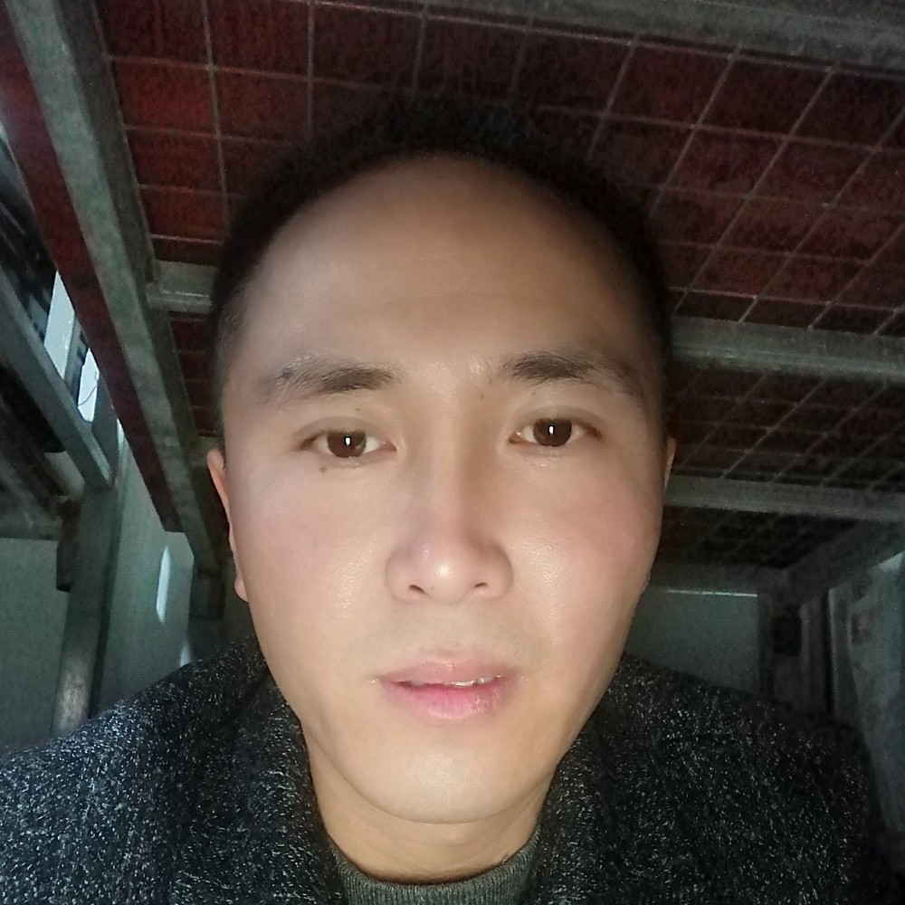 大树那优美的照片
