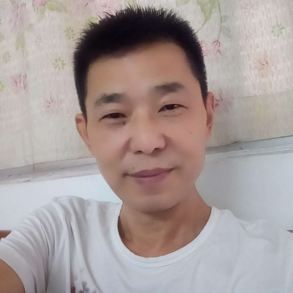 啤酒用虚幻的照片