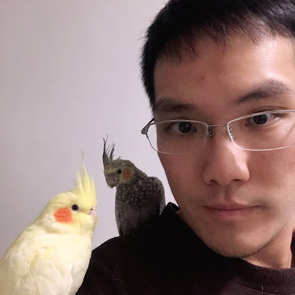 我叫阮歌的照片