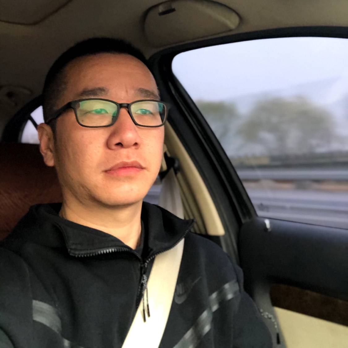 凤凰涅槃68的照片