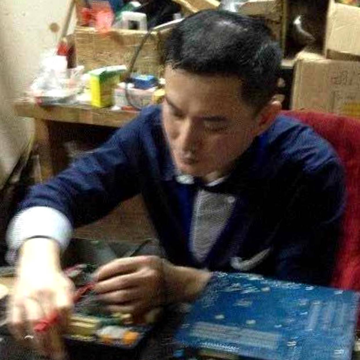 站错队的猛禽的照片
