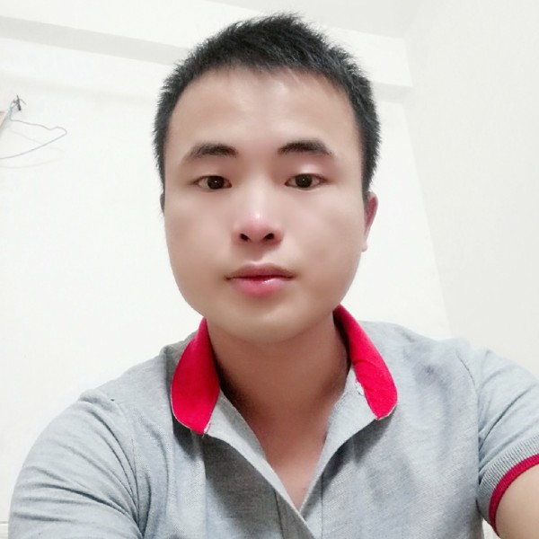 一只鲨雕的照片