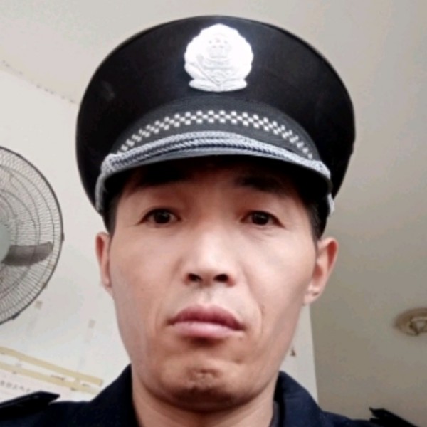 默默苦恋海燕的照片