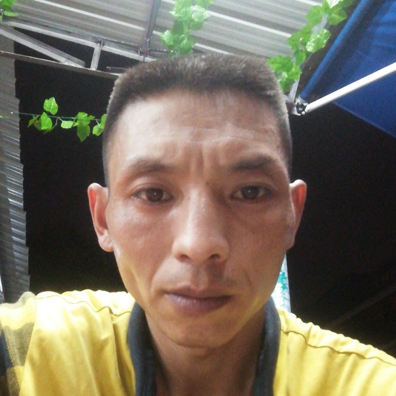 离歌回眸痴情的照片