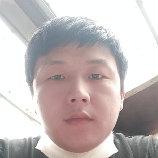 黑夜孤狼传说的照片