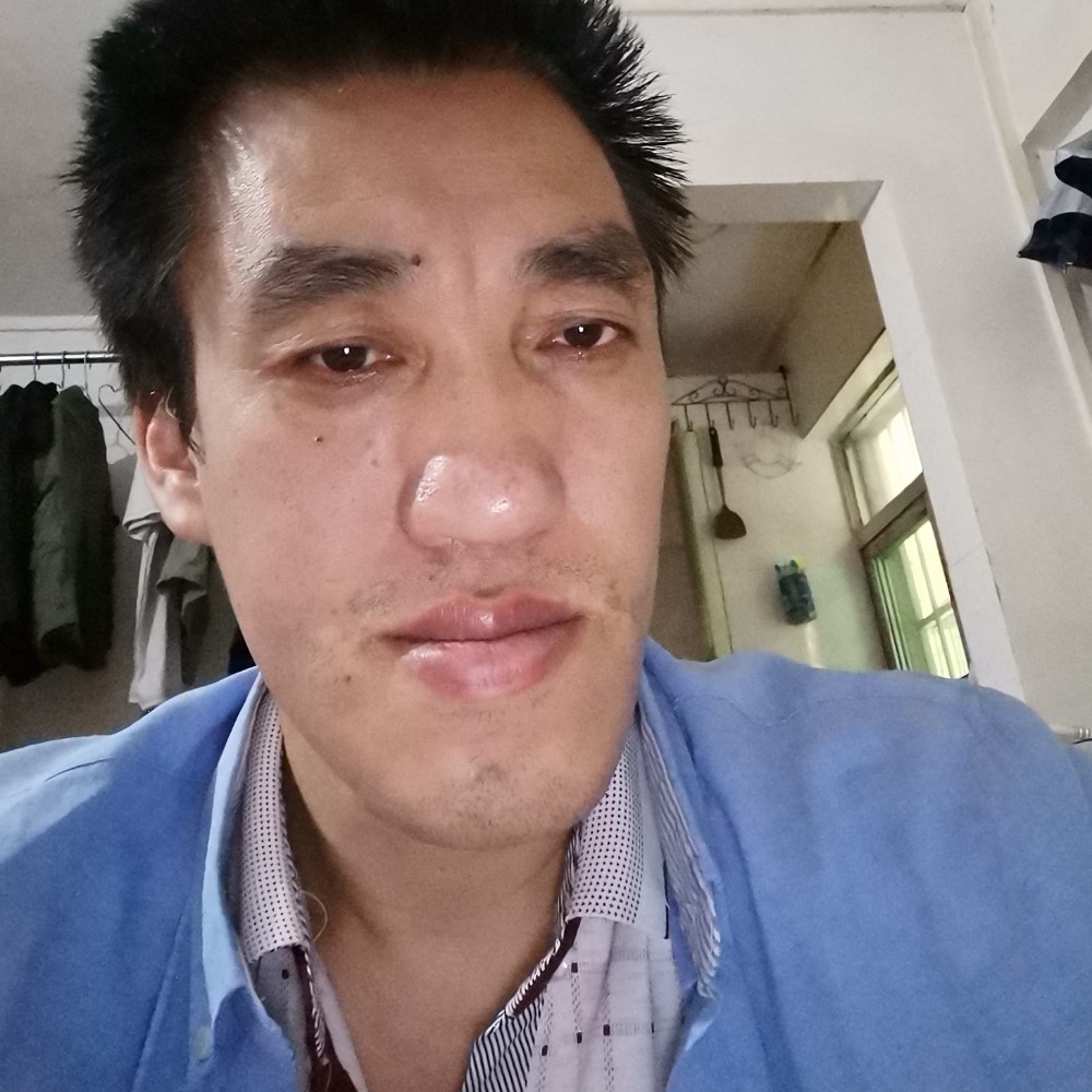 黄蜂绵密的照片