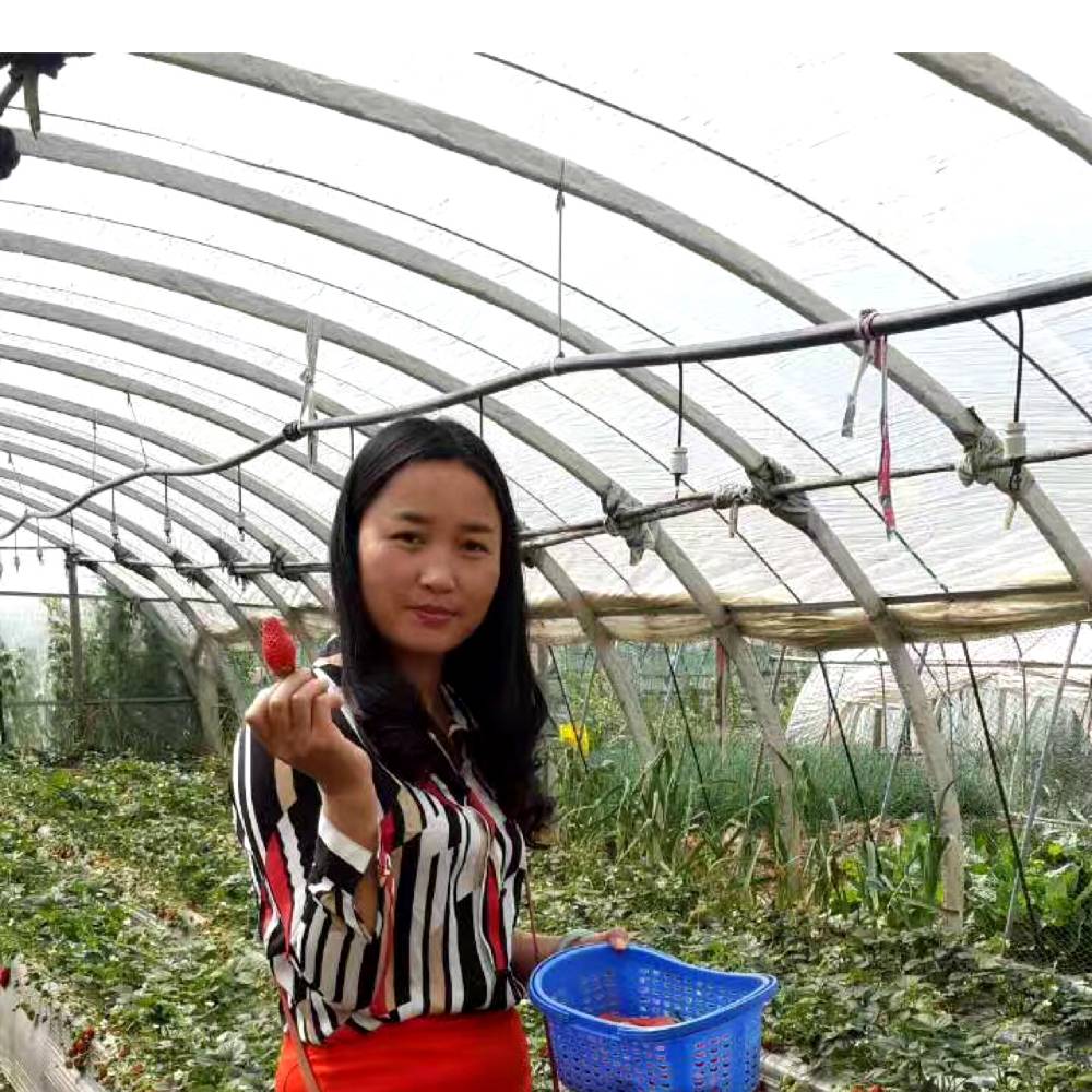 诗美153680的照片