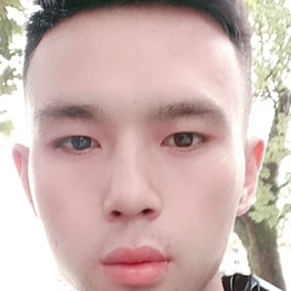 勤恳請小松鼠的照片