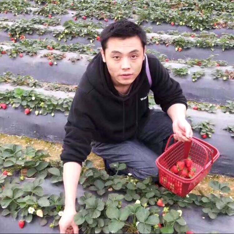 12人生如梦的照片