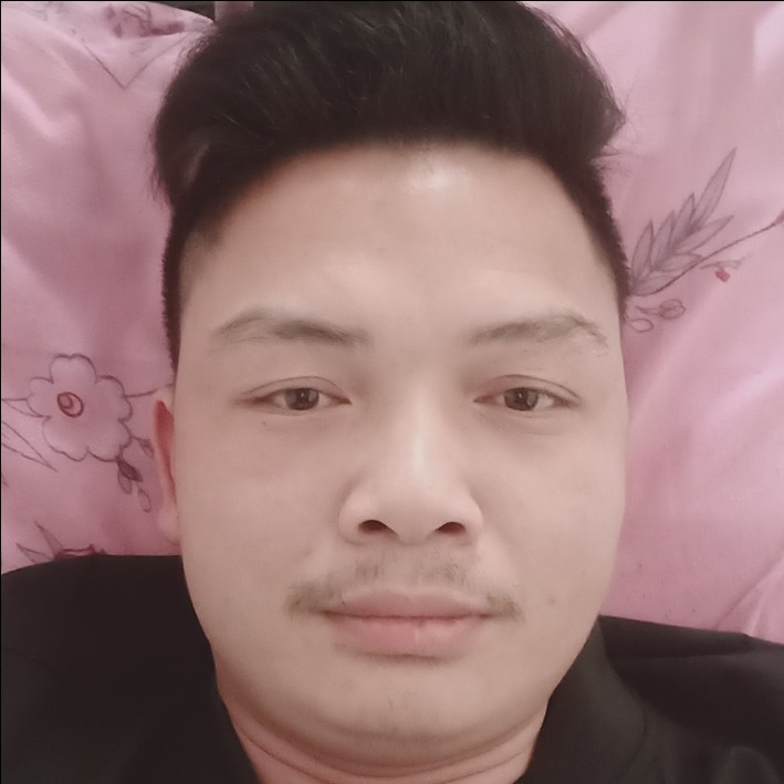 孤独的野狼的照片