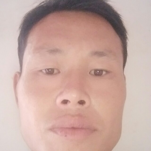 橘子踢陶醉的照片