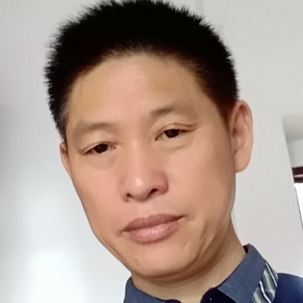 活力紫萱的照片
