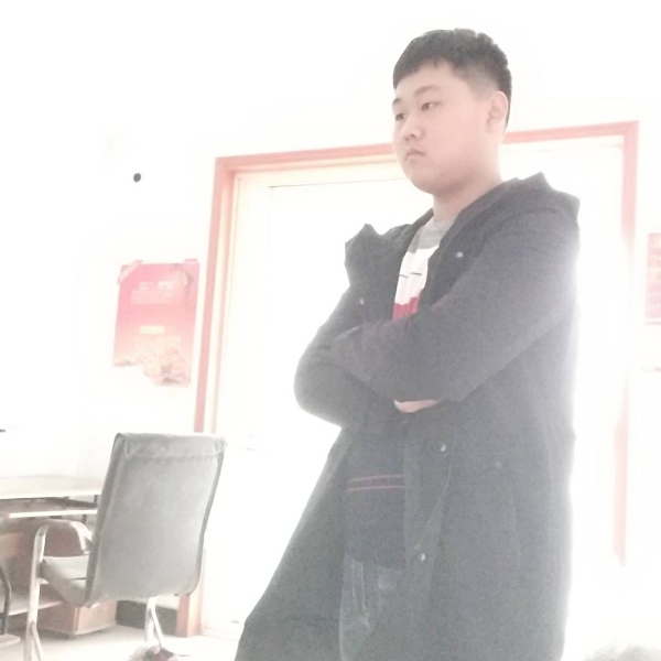 喜悦乌龟的照片