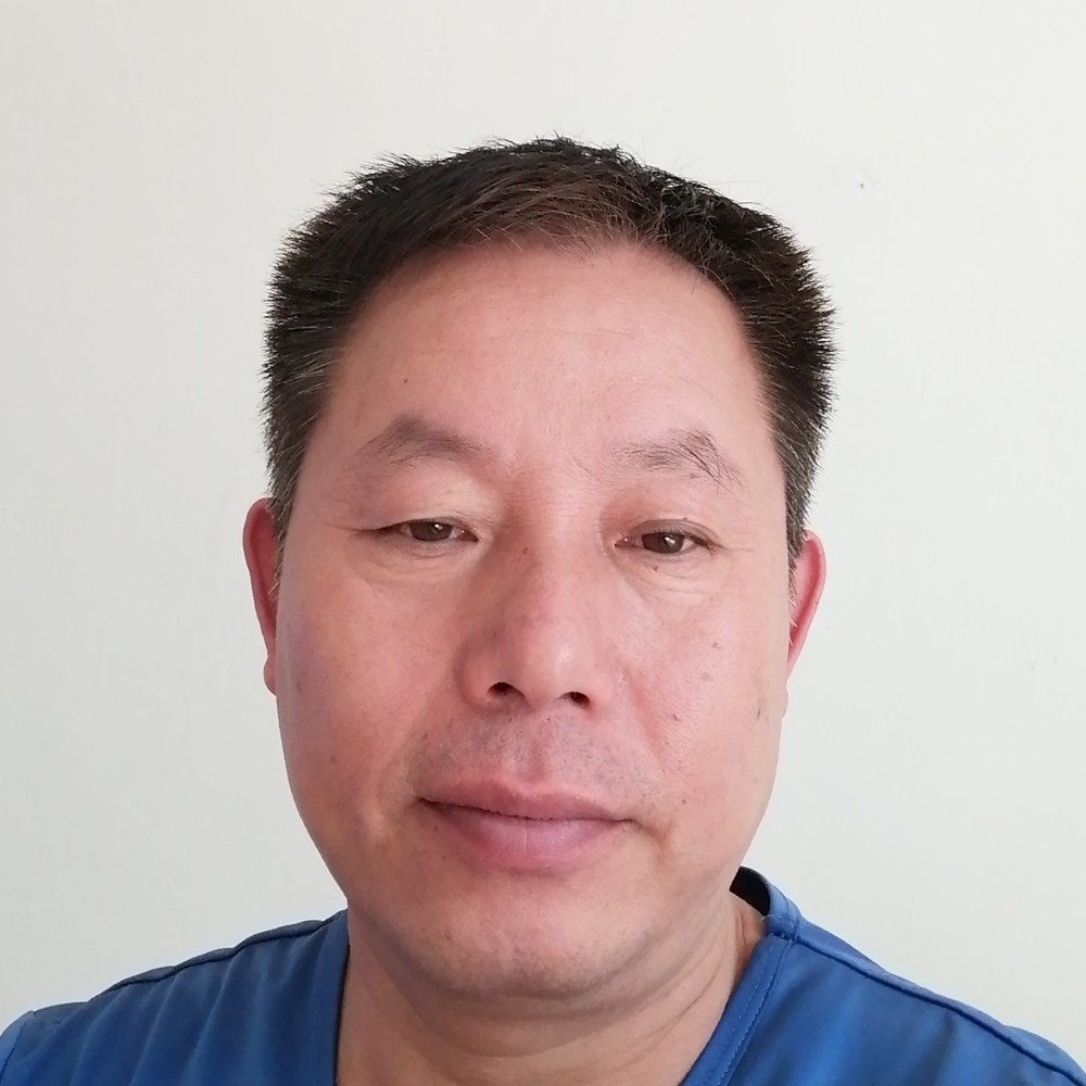 灰狼与风趣的照片