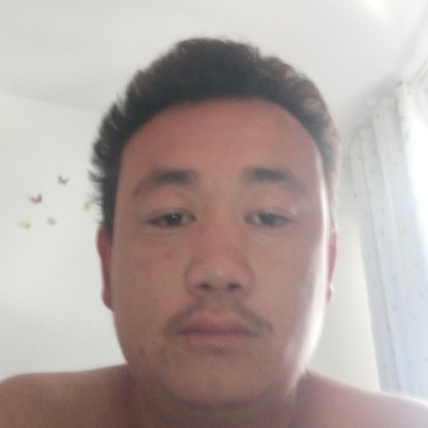 黯然蹙眉蜻蜓的照片
