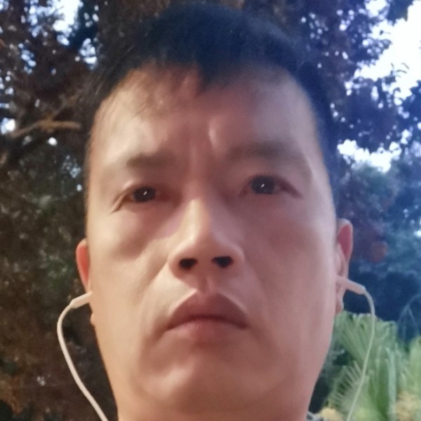 难过等待哈密瓜的照片