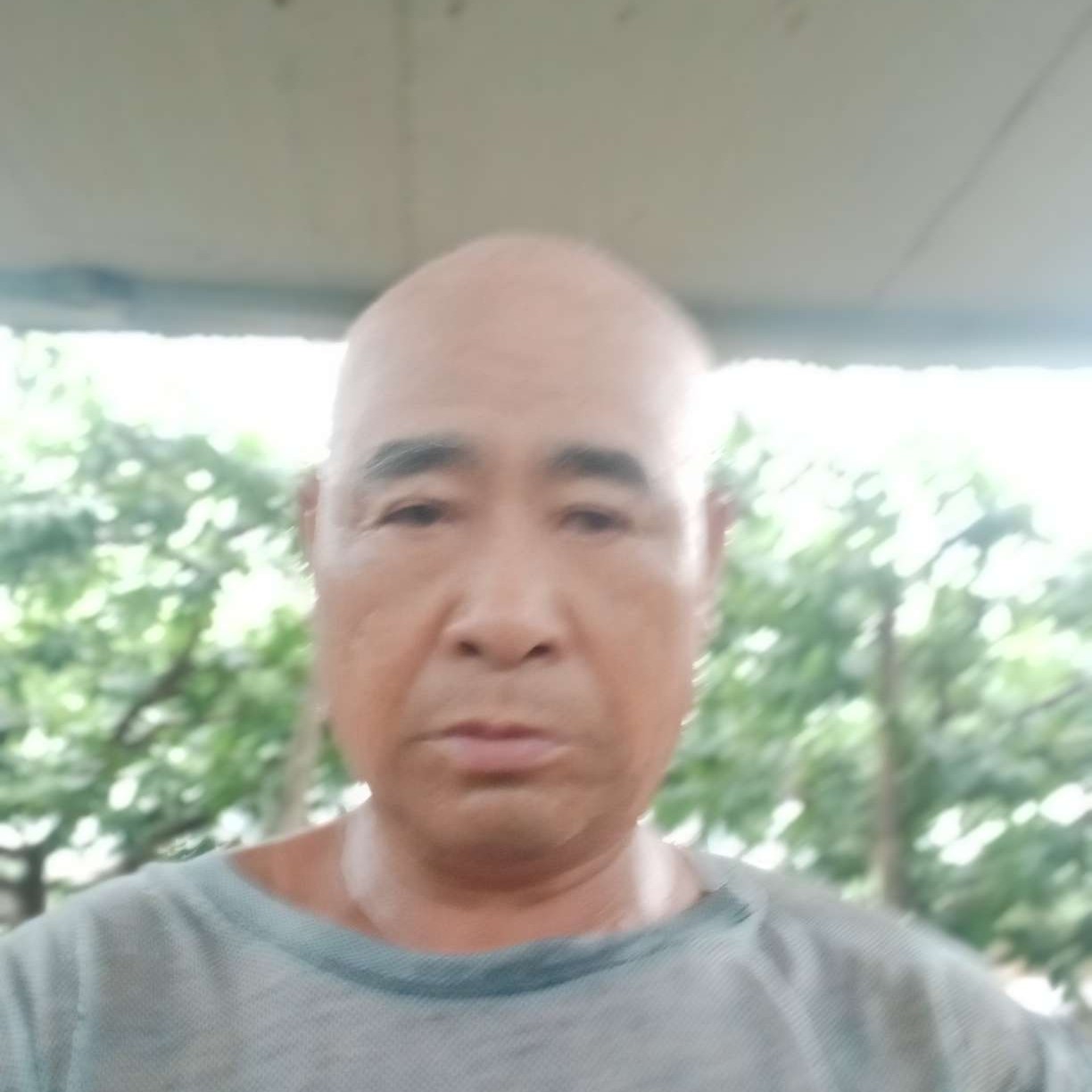 蝶衣寂寞 就是你的照片