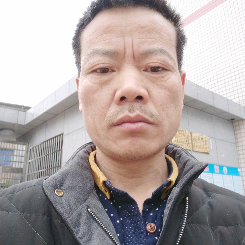 飘荷的照片