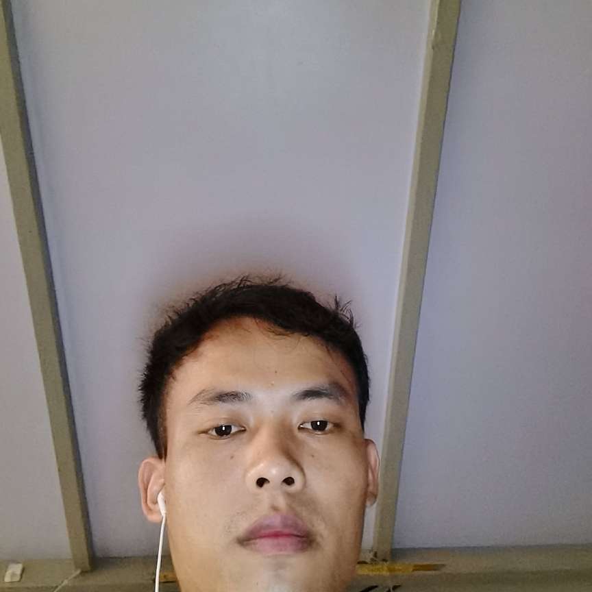草莓的照片