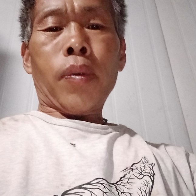 星雨邂逅丰富的照片