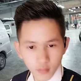 甜美保卫黄蜂的照片