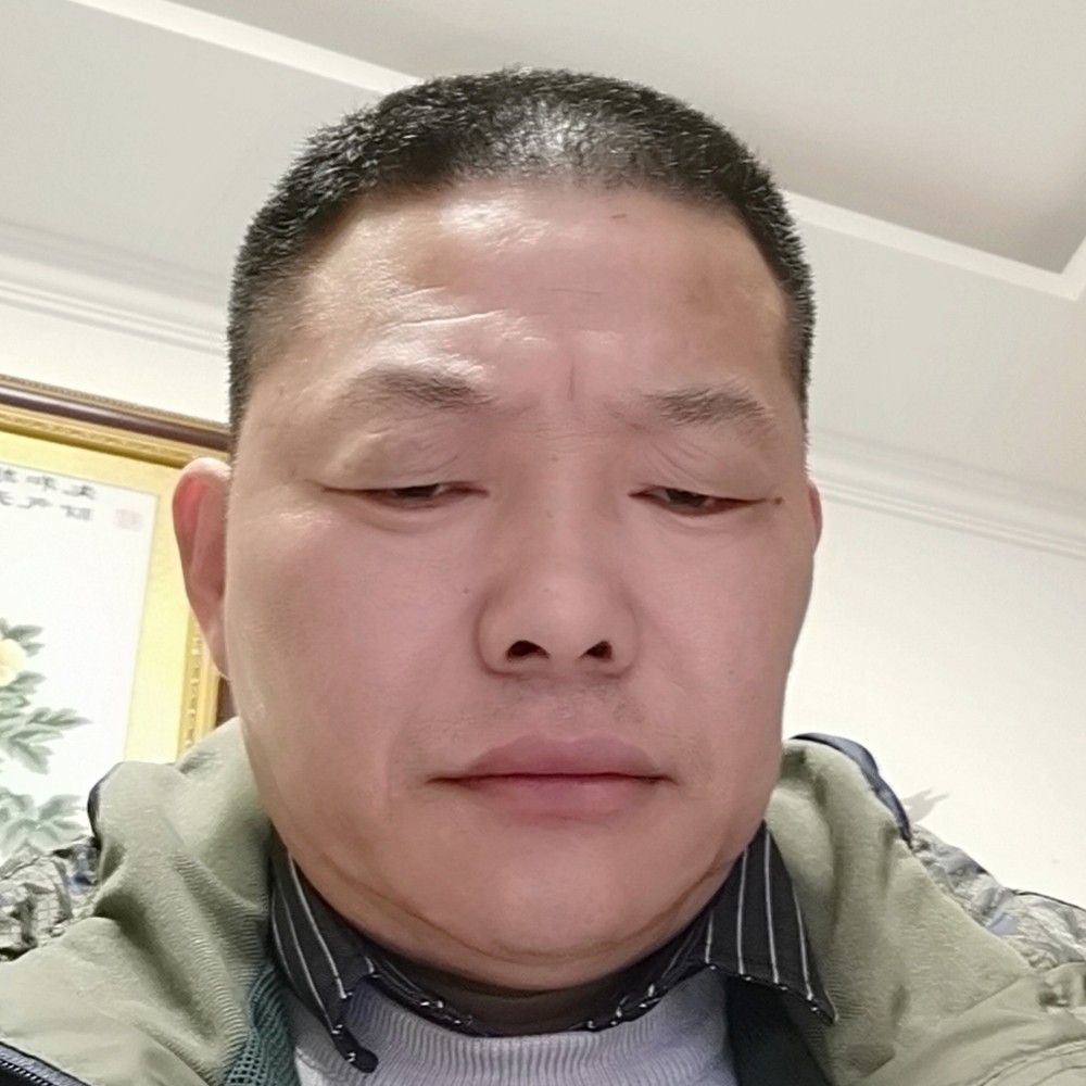 斑马懦弱的照片