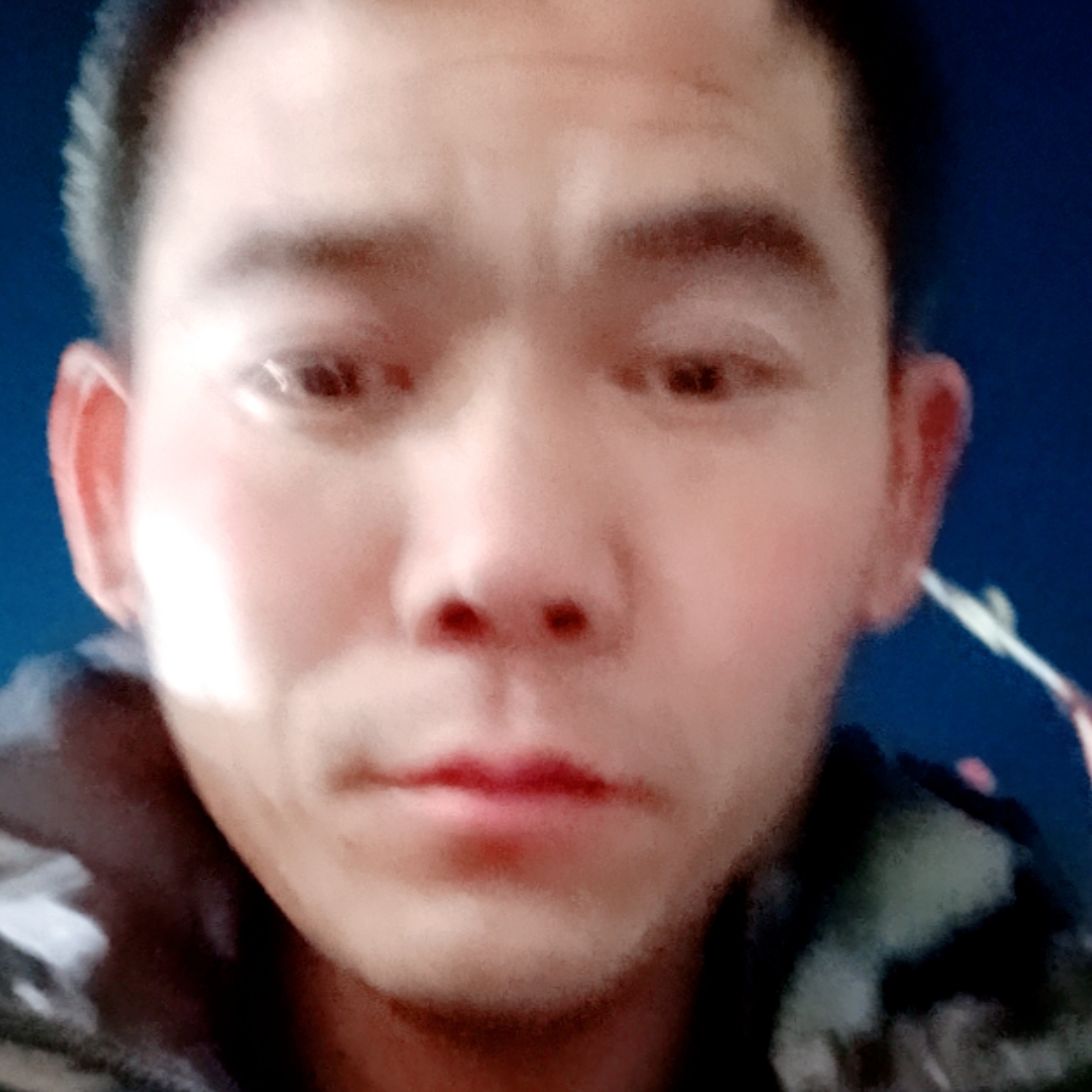 独特倾心苗条的照片