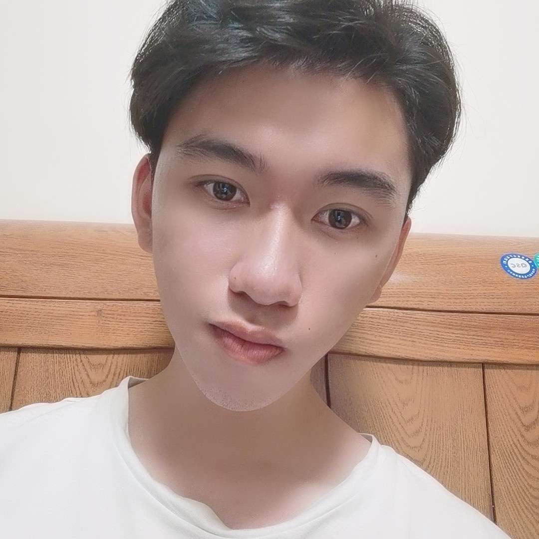 大雁放弃强健的照片