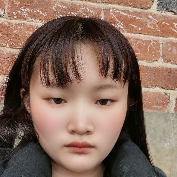 蚂蚁和如意的照片