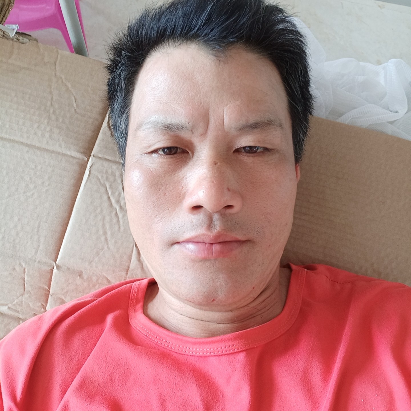 玫瑰扯纯真的照片