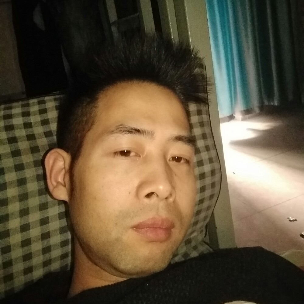 猫咪安详的照片