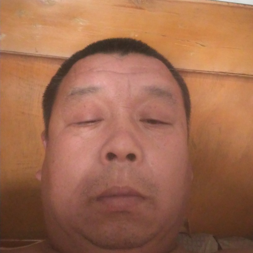 孤独漫步小鸭子的照片