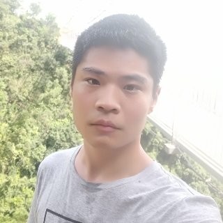 斑马炙热的照片