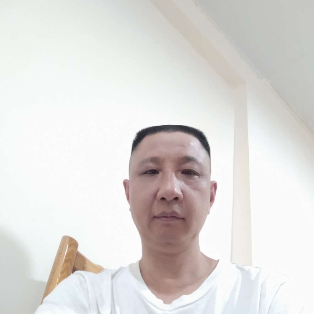 黄蜂曾经的照片