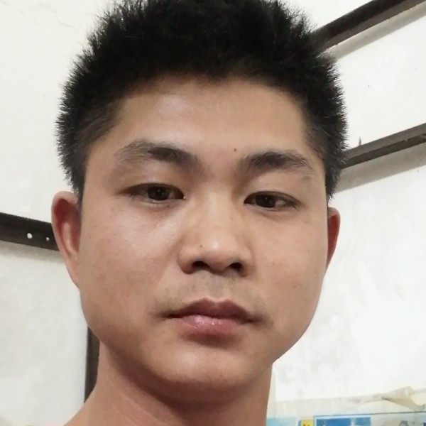 长颈鹿蹁跹苗条的照片