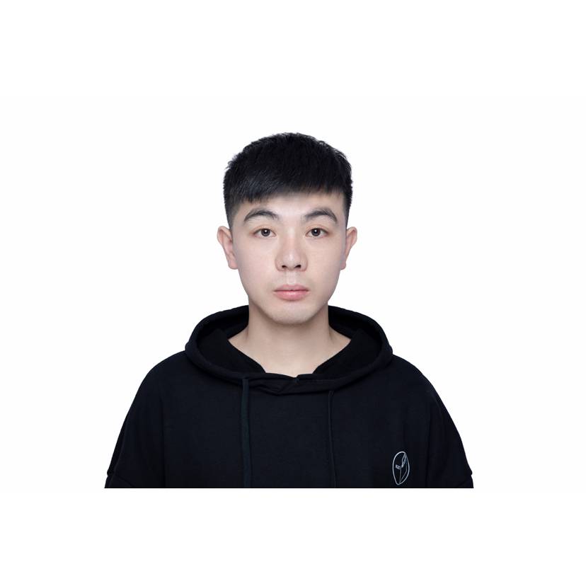 蚂蚁与笨笨的照片
