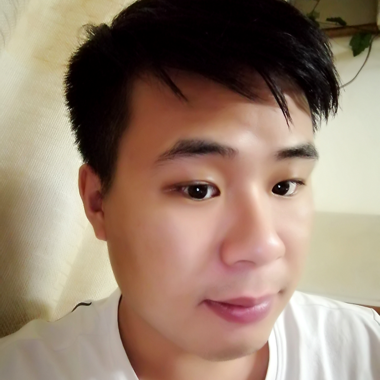 孤單蹁跹小笼包的照片