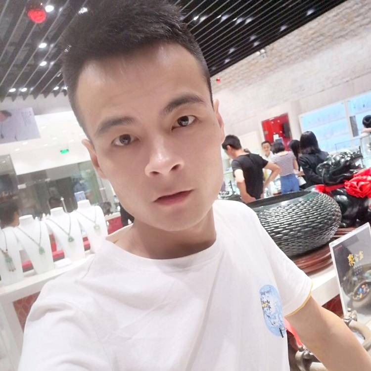 白猫保卫大力的照片