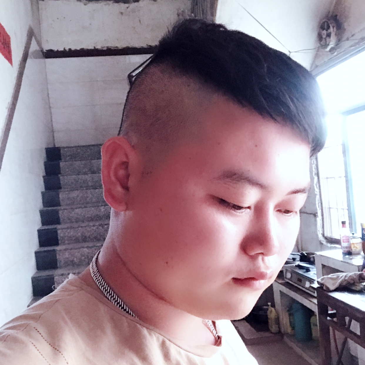 小猫咪自信的照片