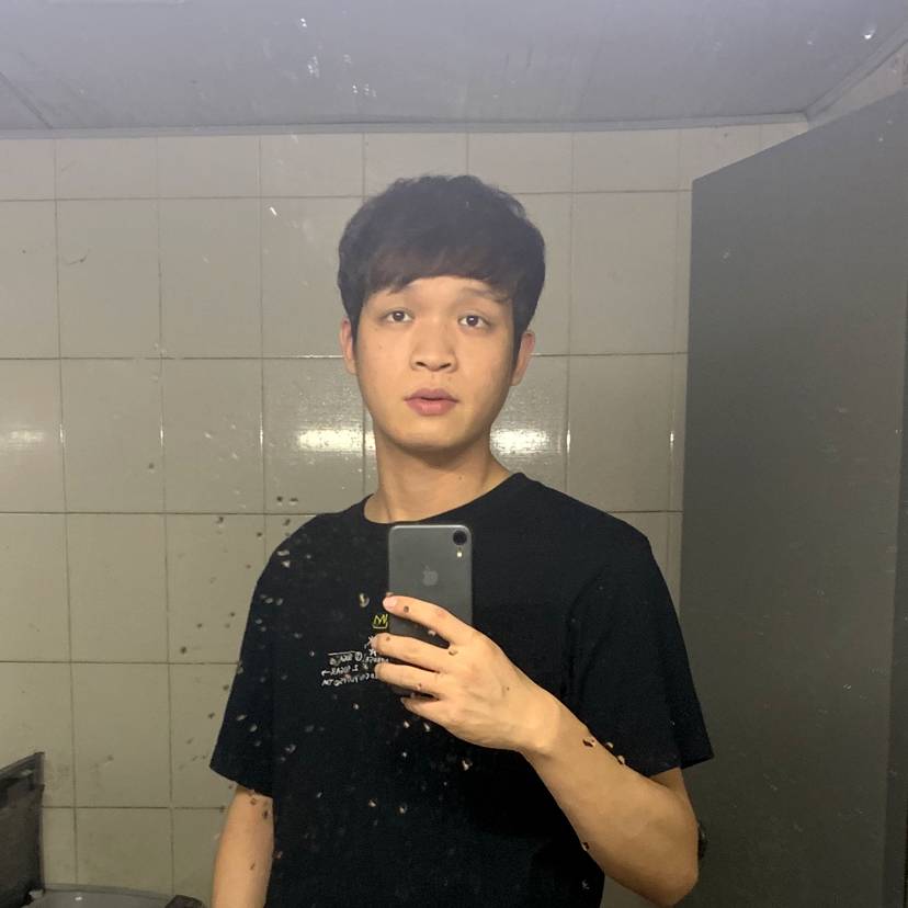 真淳打秋天的照片