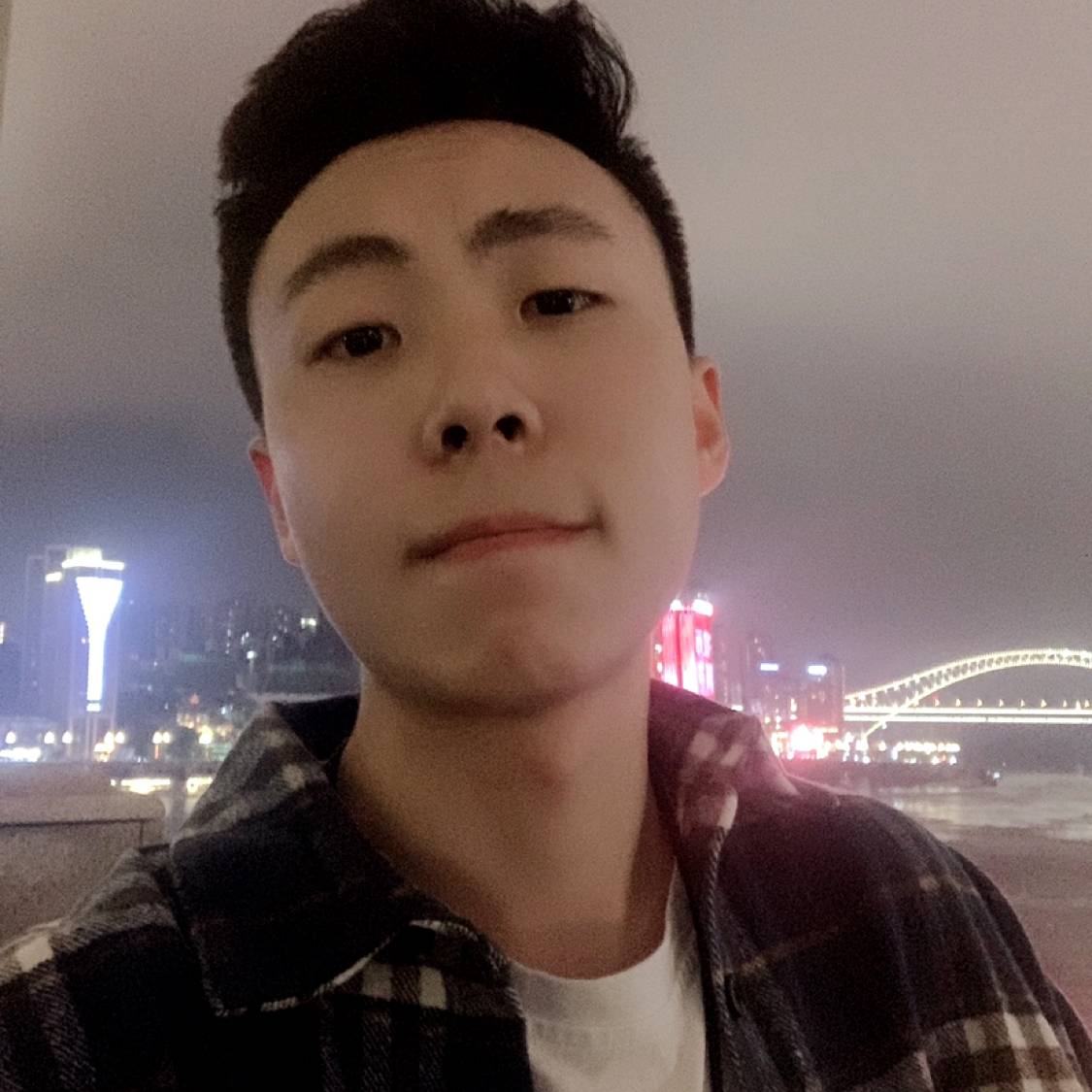 斑马放弃了条纹的照片