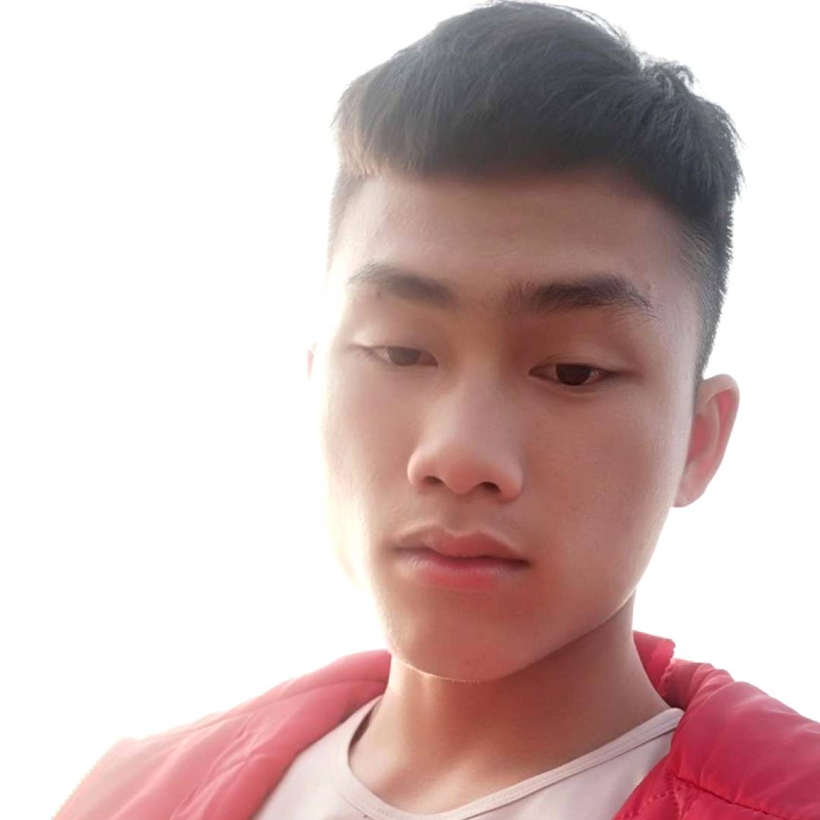 咖啡豆蹁跹机智的照片