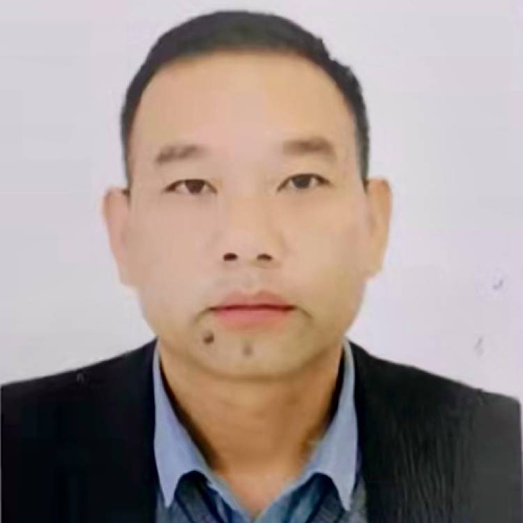 小鸽子的从容的照片