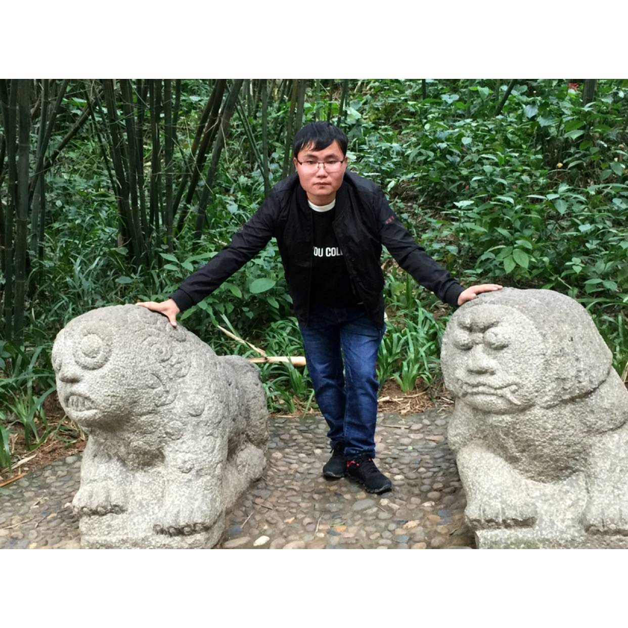 可乐迎翩飞的照片