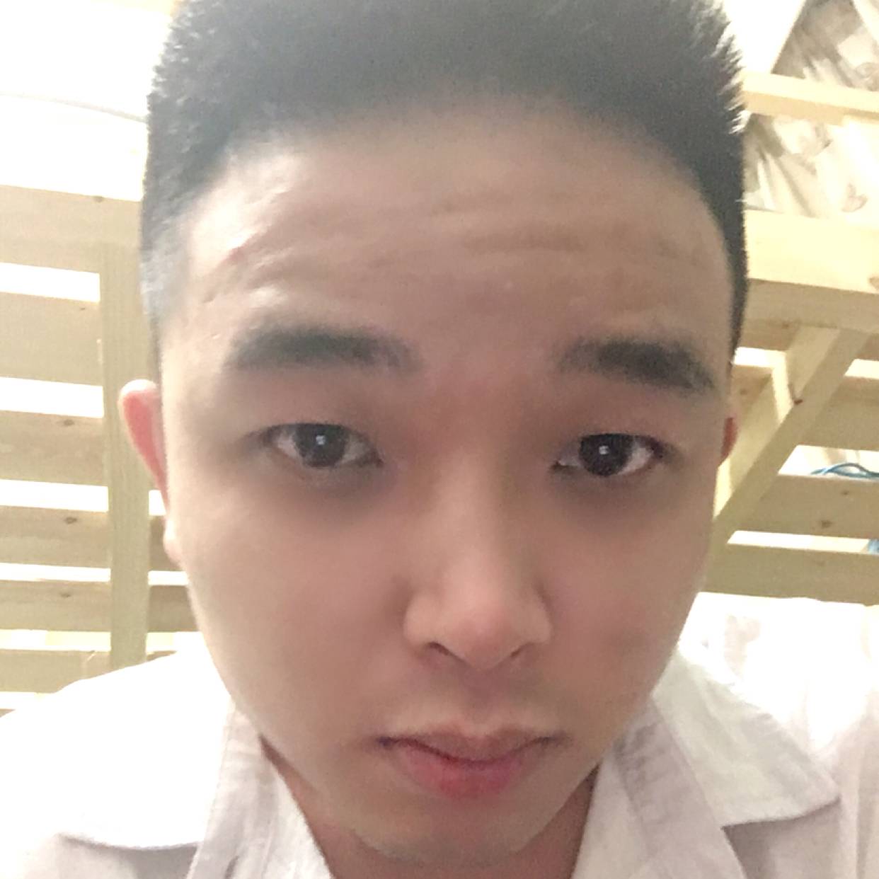小糖糖糖兔子的照片