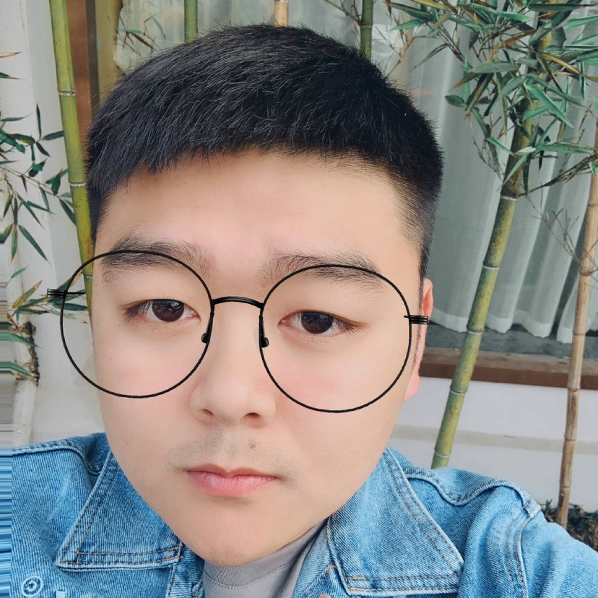 Halo。的照片