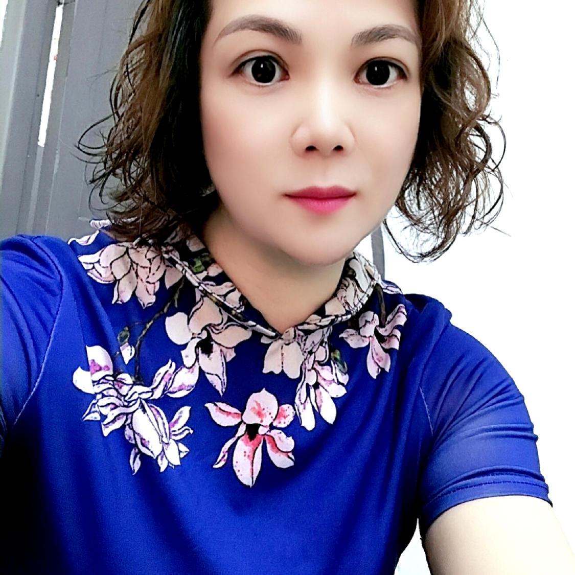 彼岸花26668的照片