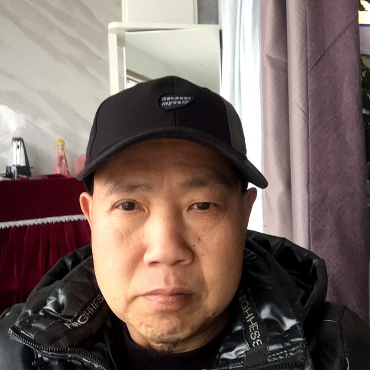 沉默苦恋斑马的照片