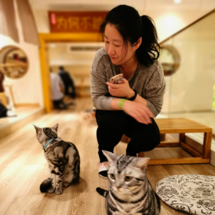 淡淡悠悠的照片